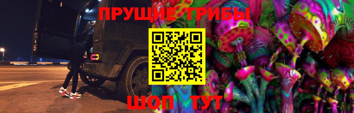 Псилоцибиновые грибы мицелий Новоуральск